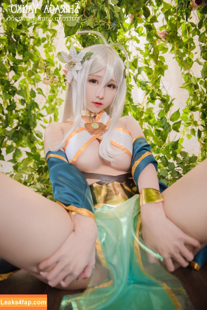 Shiraga Yanko / shiraga66 / shiraga_cosplay / shiragayanko66 слитое фото фото #0267