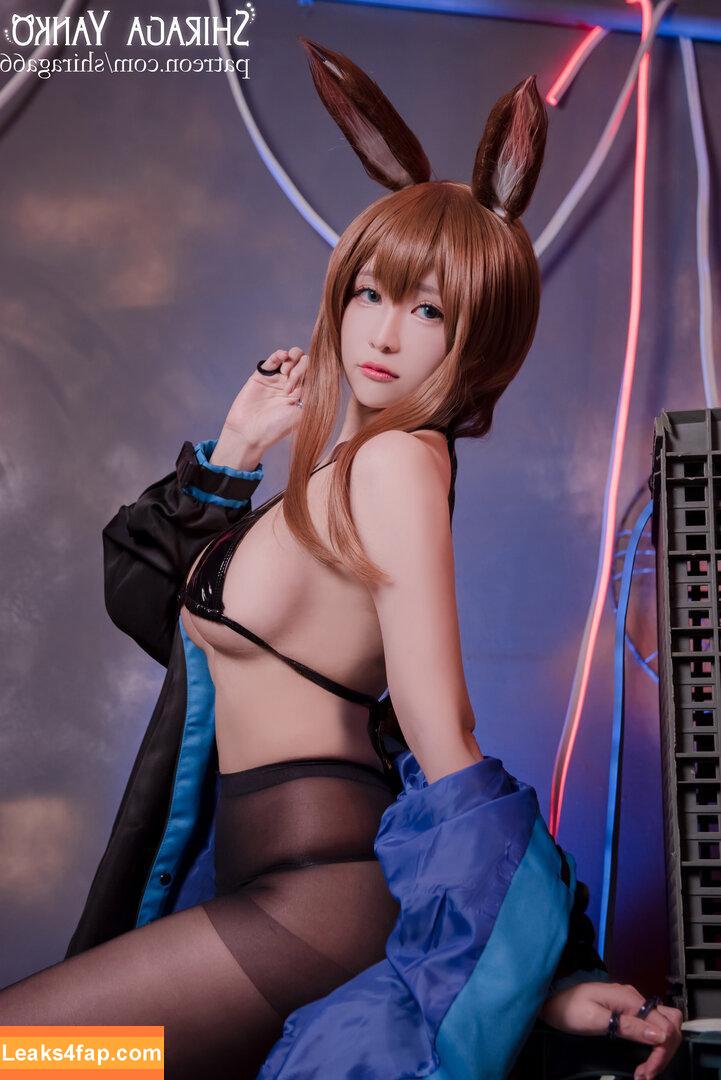 Shiraga Yanko / shiraga66 / shiraga_cosplay / shiragayanko66 leaked photo photo #0286