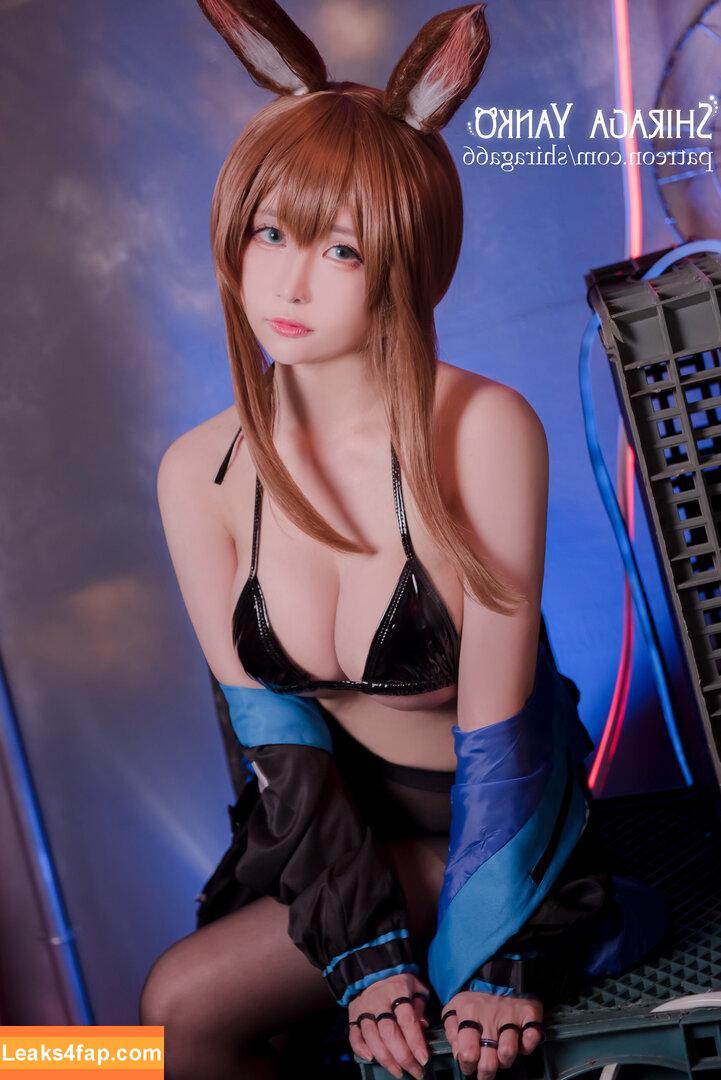 Shiraga Yanko / shiraga66 / shiraga_cosplay / shiragayanko66 слитое фото фото #0287