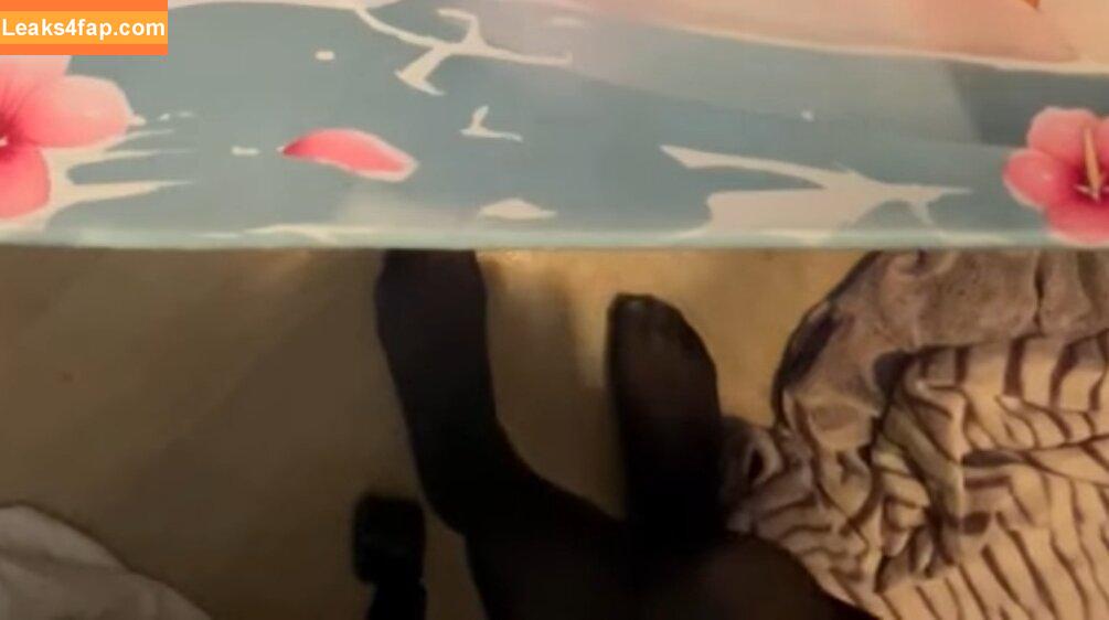 Shylily / shylilytwitch leaked photo photo #0048