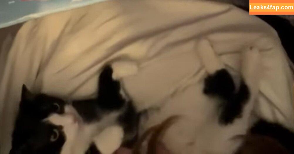 Shylily / shylilytwitch leaked photo photo #0052