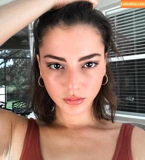 Sierra Brave фото #0011