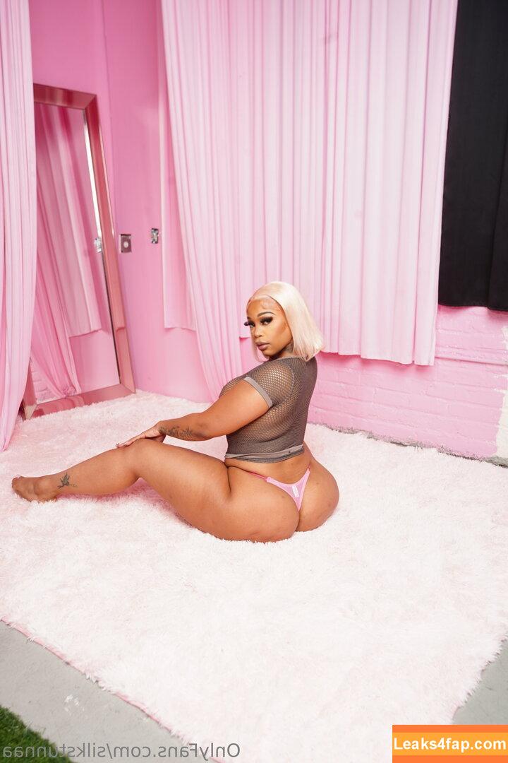 silkstunnaa / silkstunnaaa leaked photo photo #0009
