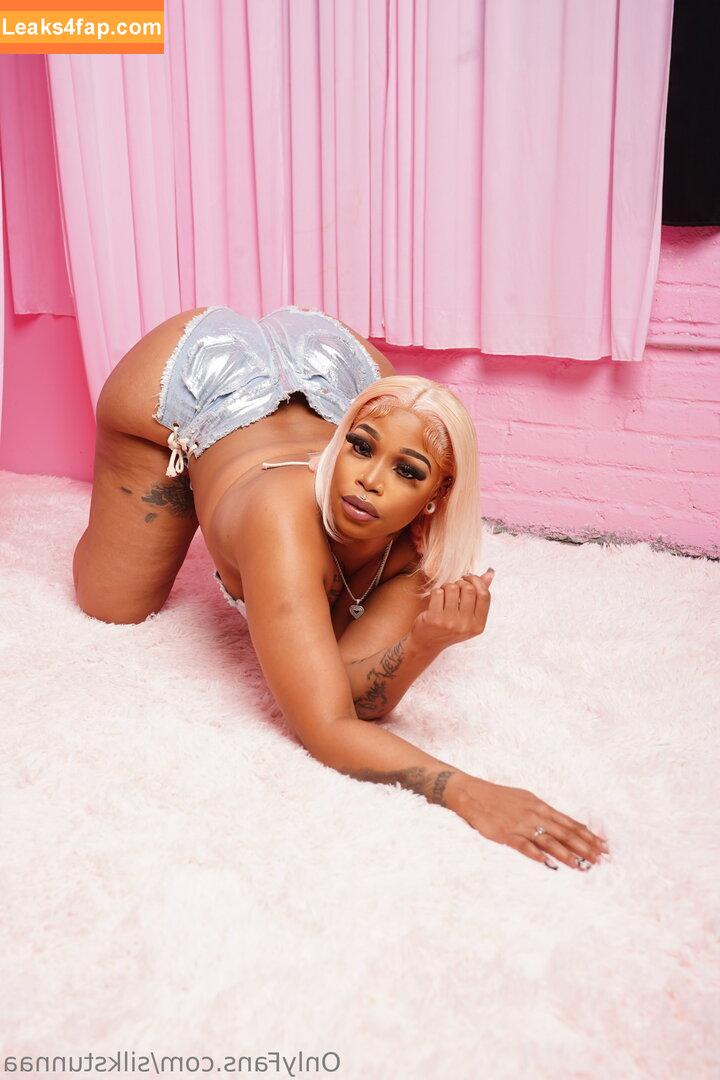 silkstunnaa / silkstunnaaa leaked photo photo #0011