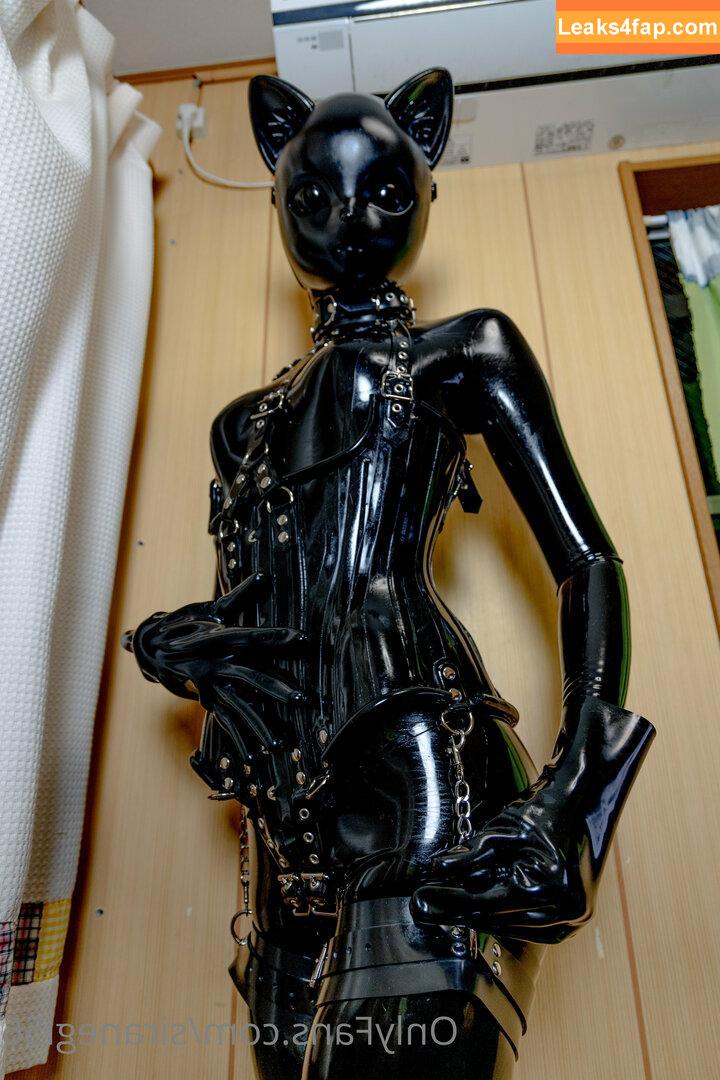 siranegi56 /  leaked photo photo #0149