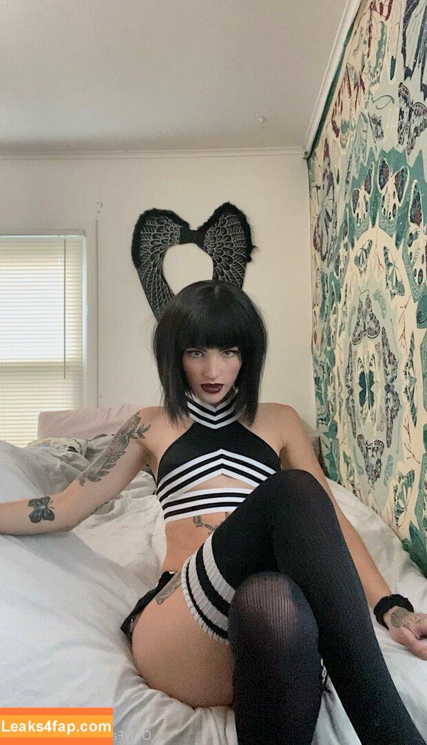 sirenkittyy / destinyelkins leaked photo photo #0004