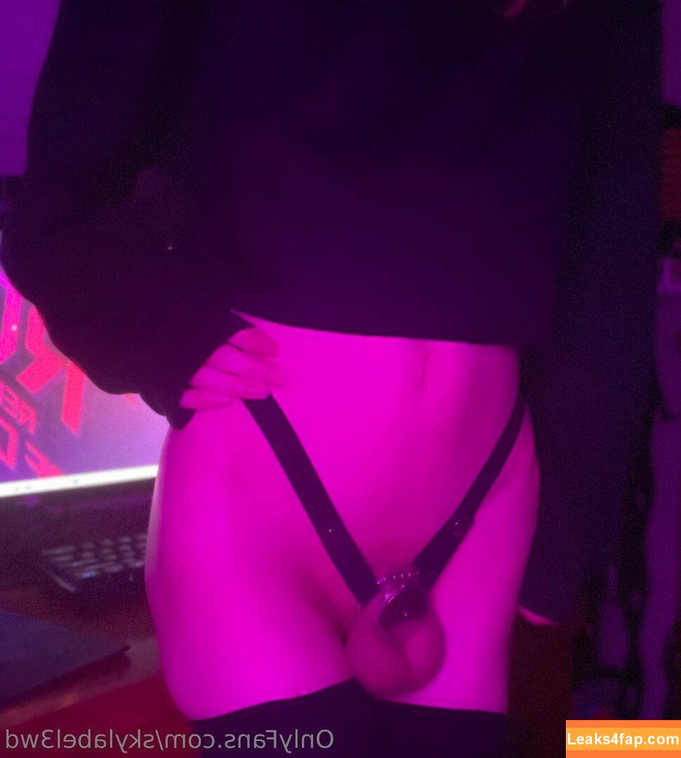skylabel3wd /  leaked photo photo #0001