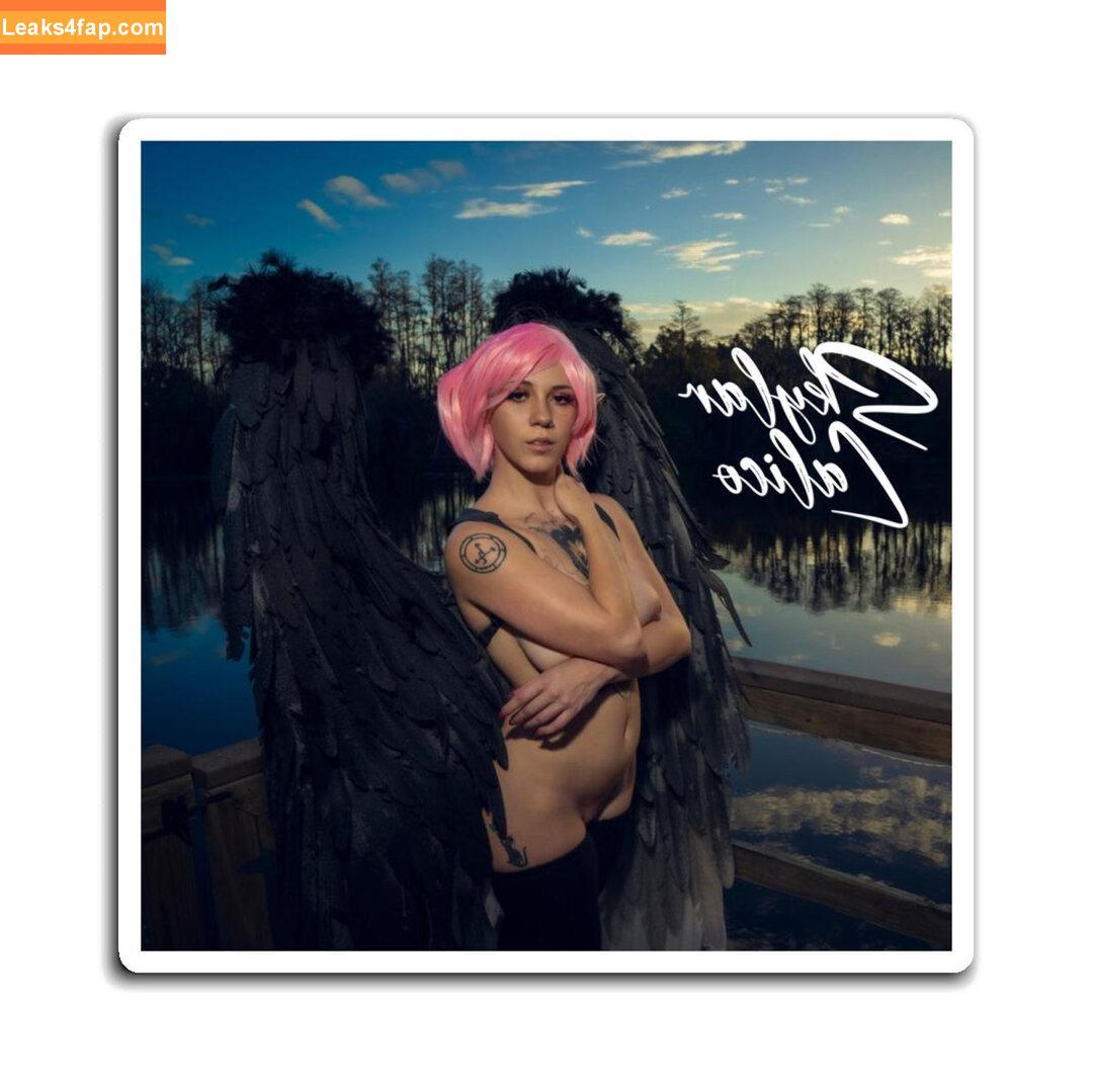 skylarcalico /  leaked photo photo #0010