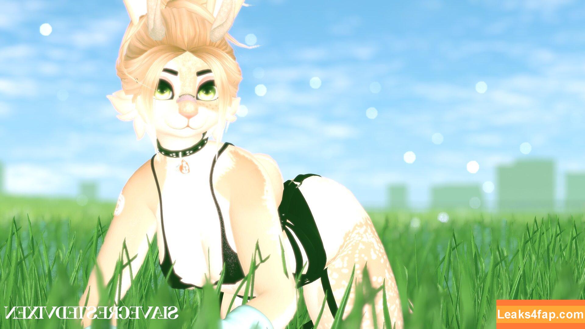 SlaveCrestedVixen /  leaked photo photo #0014
