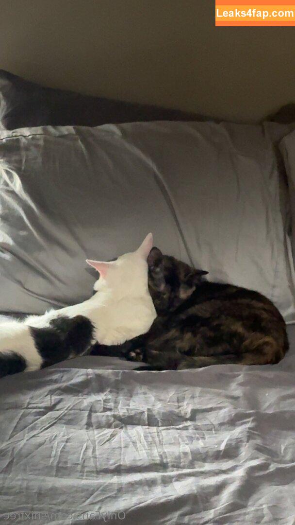 snixfree / itssnixbitxh leaked photo photo #0036