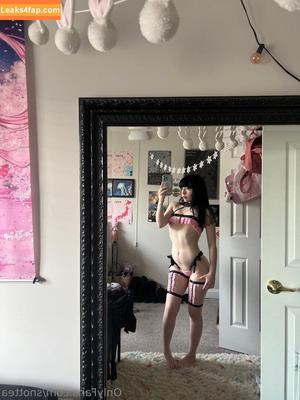Snottea photo #0283