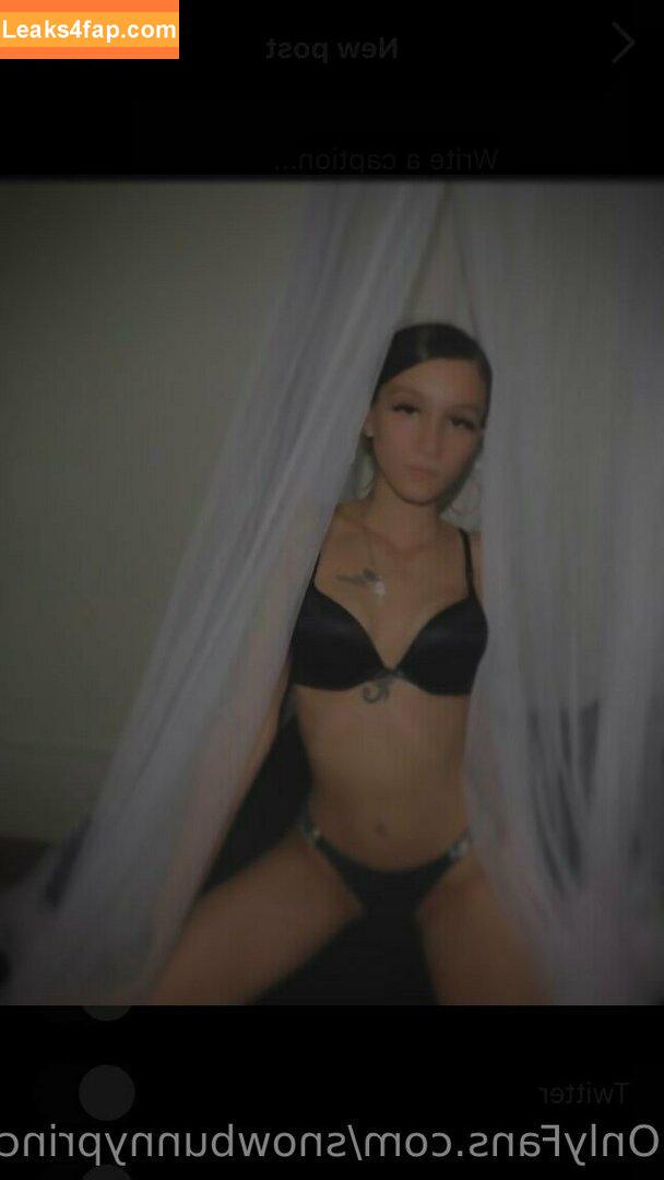 snowbunnyprincesss / princesssnowbunny13 leaked photo photo #0006