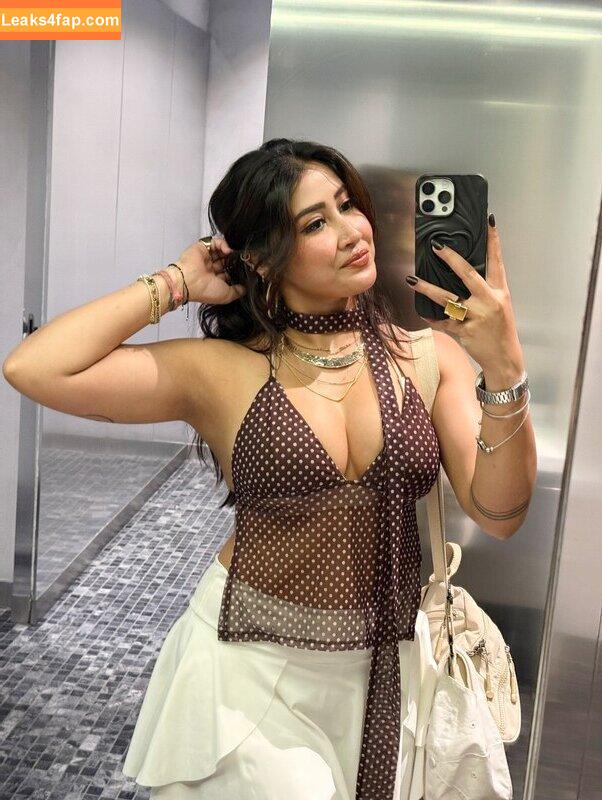 Sofia Ansari / iamSofiaOff / sofia.ansari / sofia9__official leaked photo photo #0428