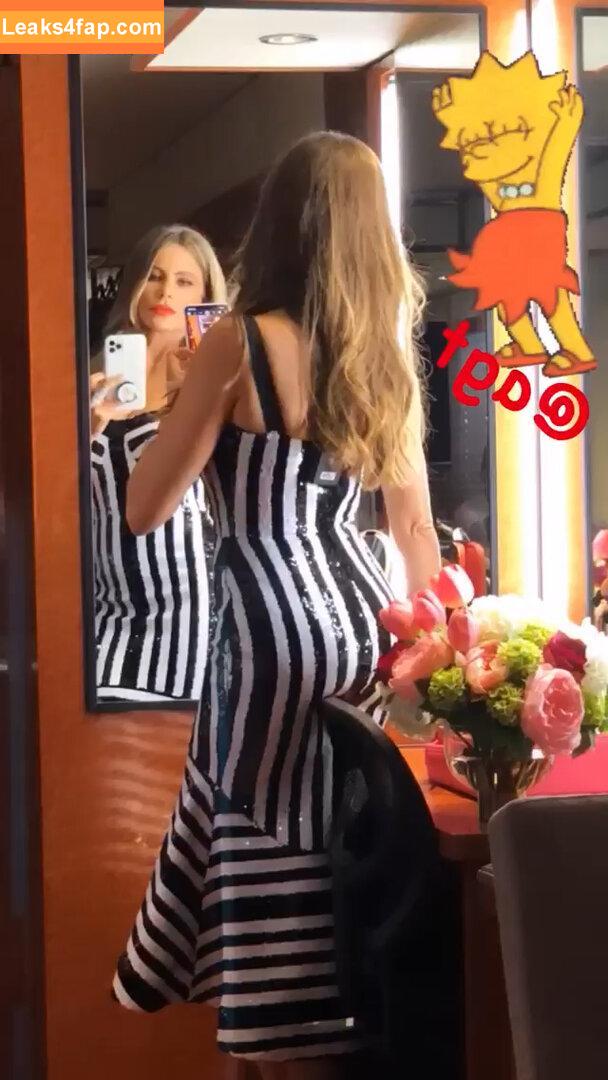 Sofia Vergara / sofiavergara слитое фото фото #0021
