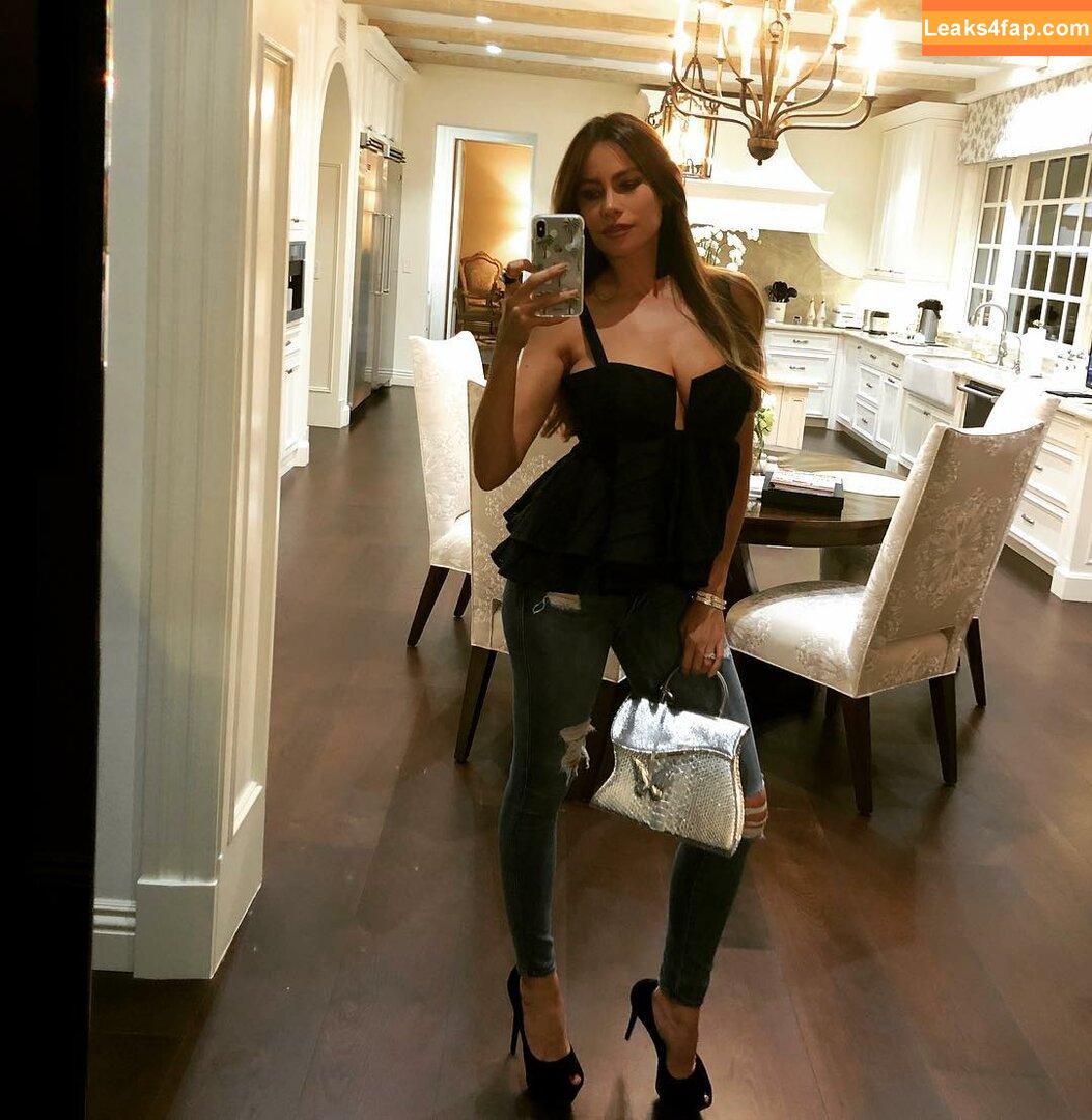 Sofia Vergara / sofiavergara слитое фото фото #0027