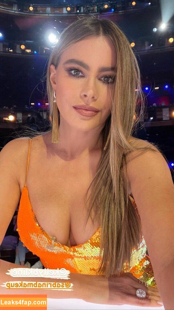 Sofia Vergara / sofiavergara слитое фото фото #0028