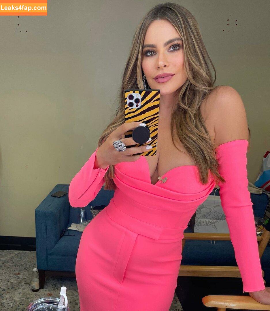 Sofia Vergara / sofiavergara слитое фото фото #0036