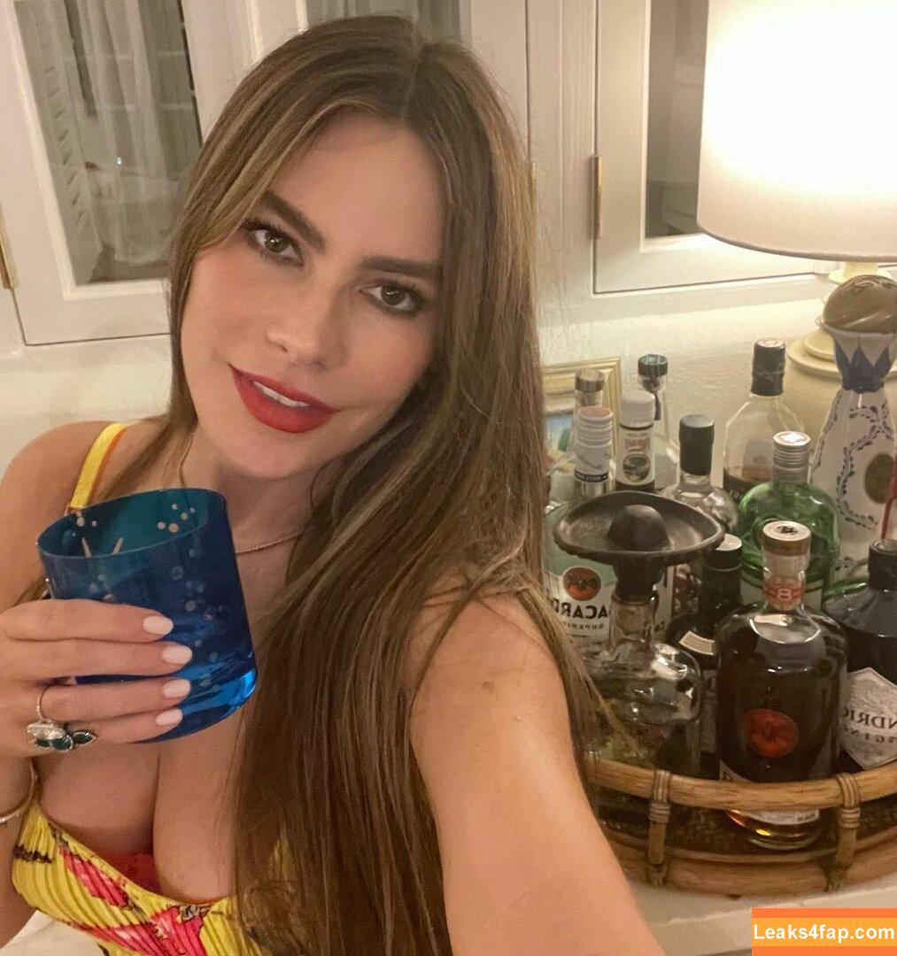 Sofia Vergara / sofiavergara слитое фото фото #0041