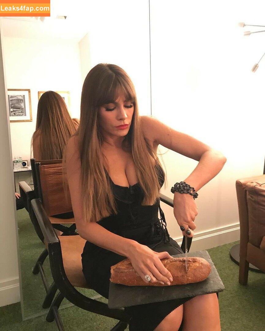Sofia Vergara / sofiavergara слитое фото фото #0055