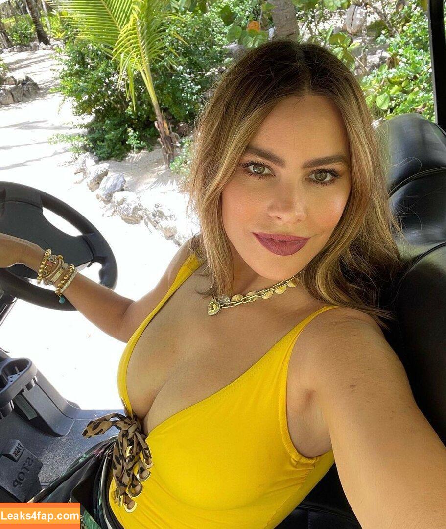Sofia Vergara / sofiavergara слитое фото фото #0066