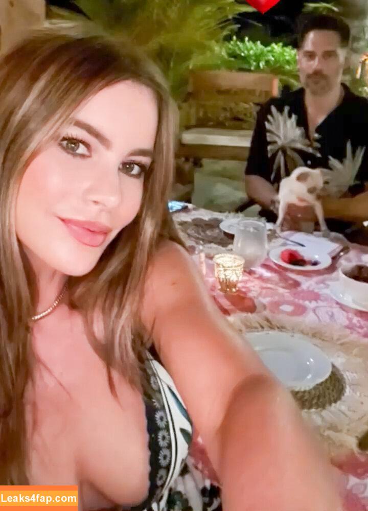Sofia Vergara / sofiavergara слитое фото фото #0158