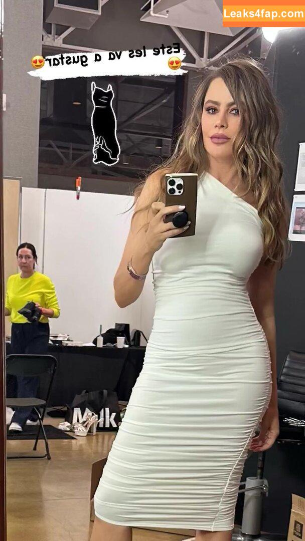 Sofia Vergara / sofiavergara слитое фото фото #0292