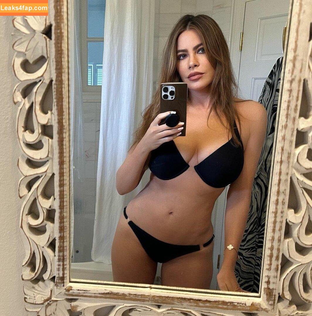 Sofia Vergara / sofiavergara слитое фото фото #0297