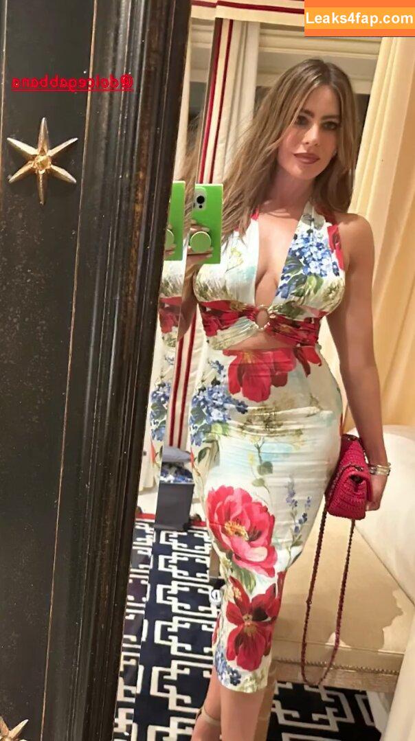 Sofia Vergara / sofiavergara слитое фото фото #0330
