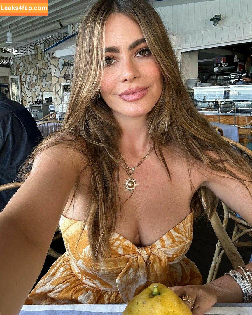 Sofia Vergara / sofiavergara слитое фото фото #0336