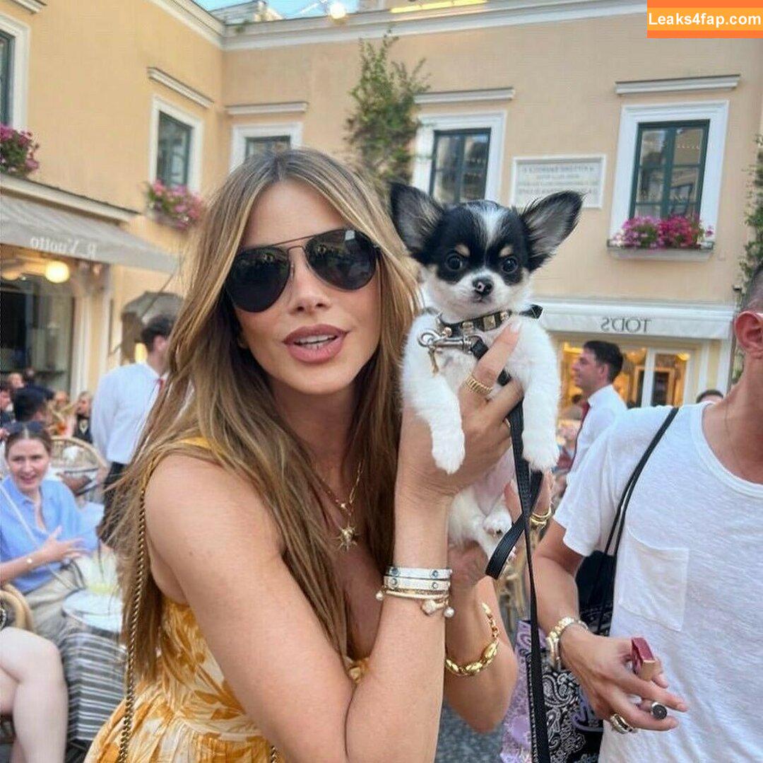 Sofia Vergara / sofiavergara слитое фото фото #0339