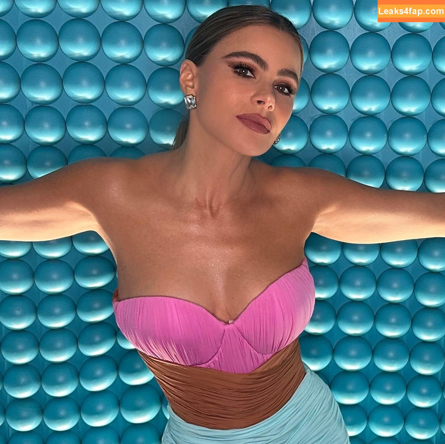 Sofia Vergara / sofiavergara слитое фото фото #0362