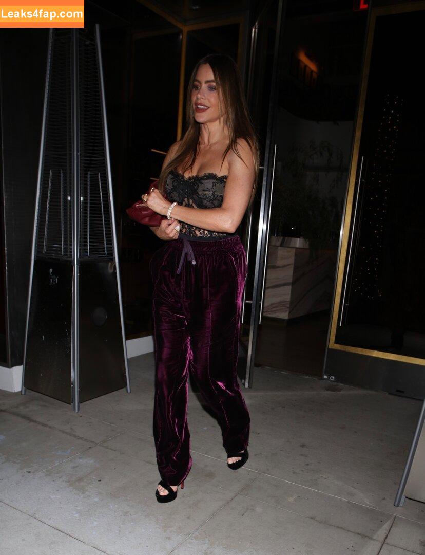 Sofia Vergara / sofiavergara слитое фото фото #0425