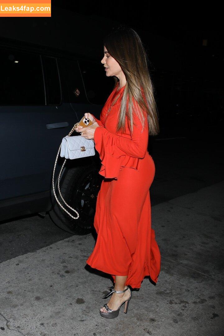 Sofia Vergara / sofiavergara слитое фото фото #0441