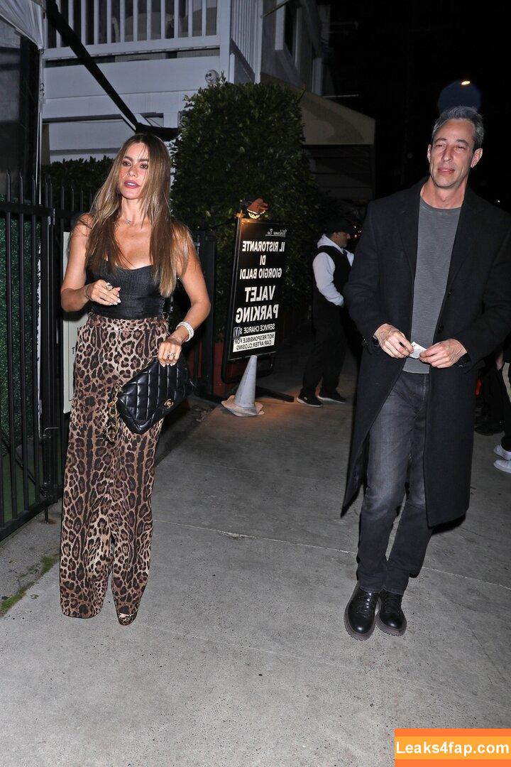 Sofia Vergara / sofiavergara слитое фото фото #0451