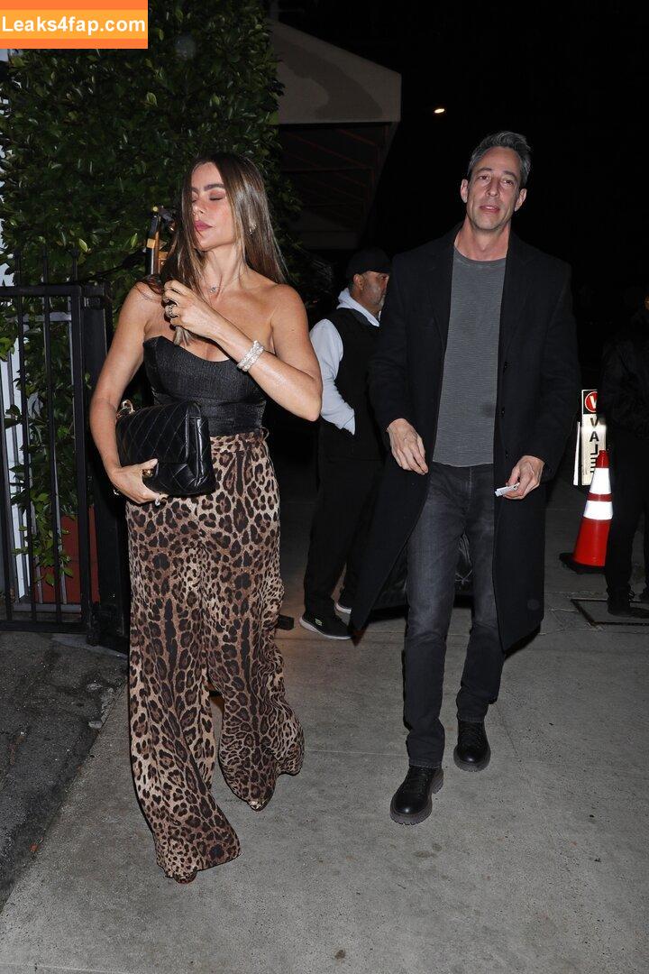 Sofia Vergara / sofiavergara слитое фото фото #0452