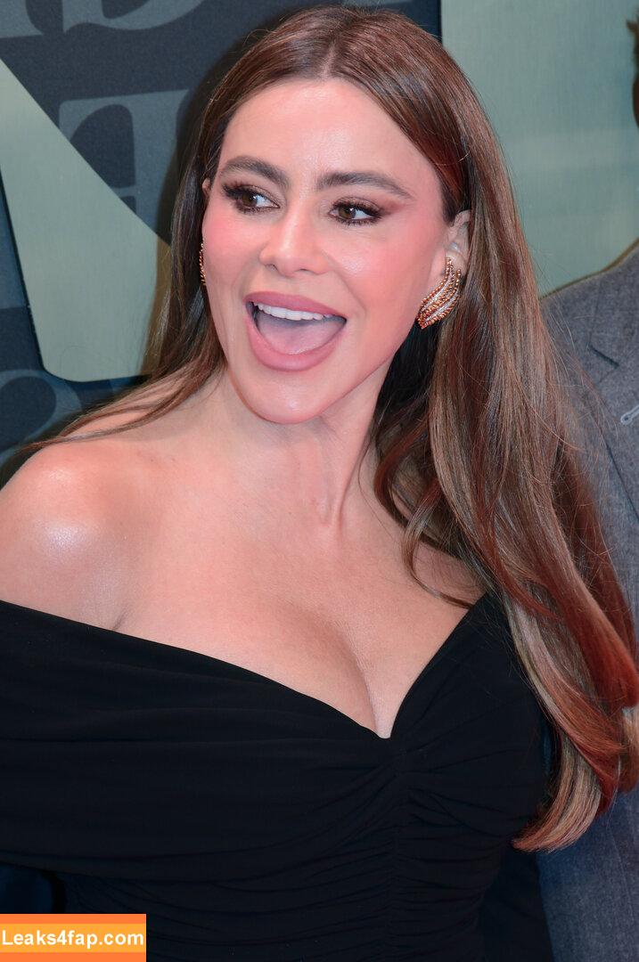 Sofia Vergara / sofiavergara слитое фото фото #0502