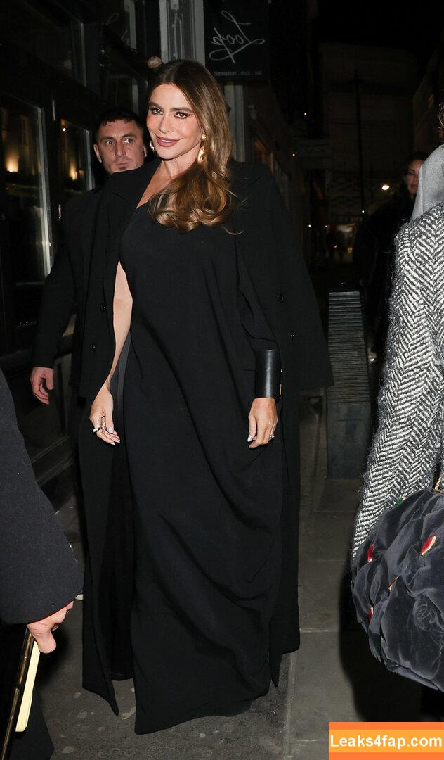 Sofia Vergara / sofiavergara слитое фото фото #0508