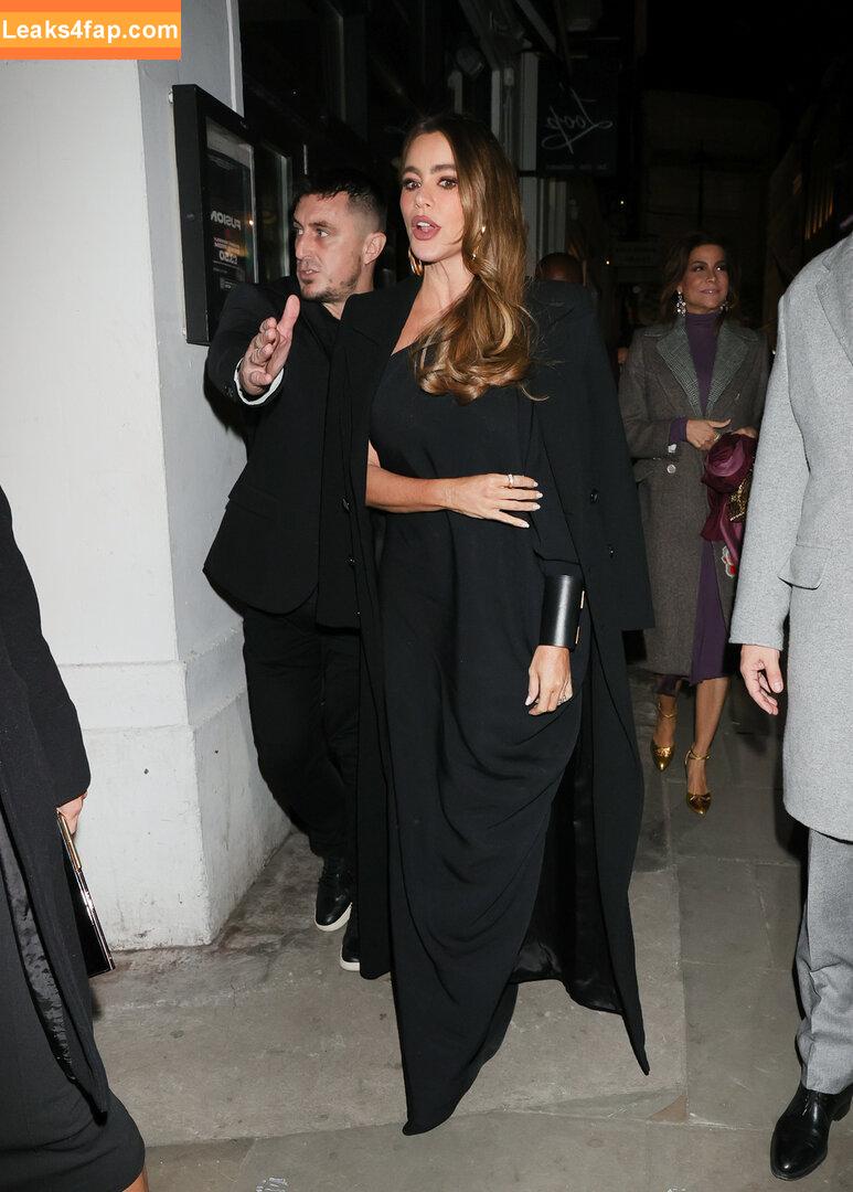 Sofia Vergara / sofiavergara слитое фото фото #0509