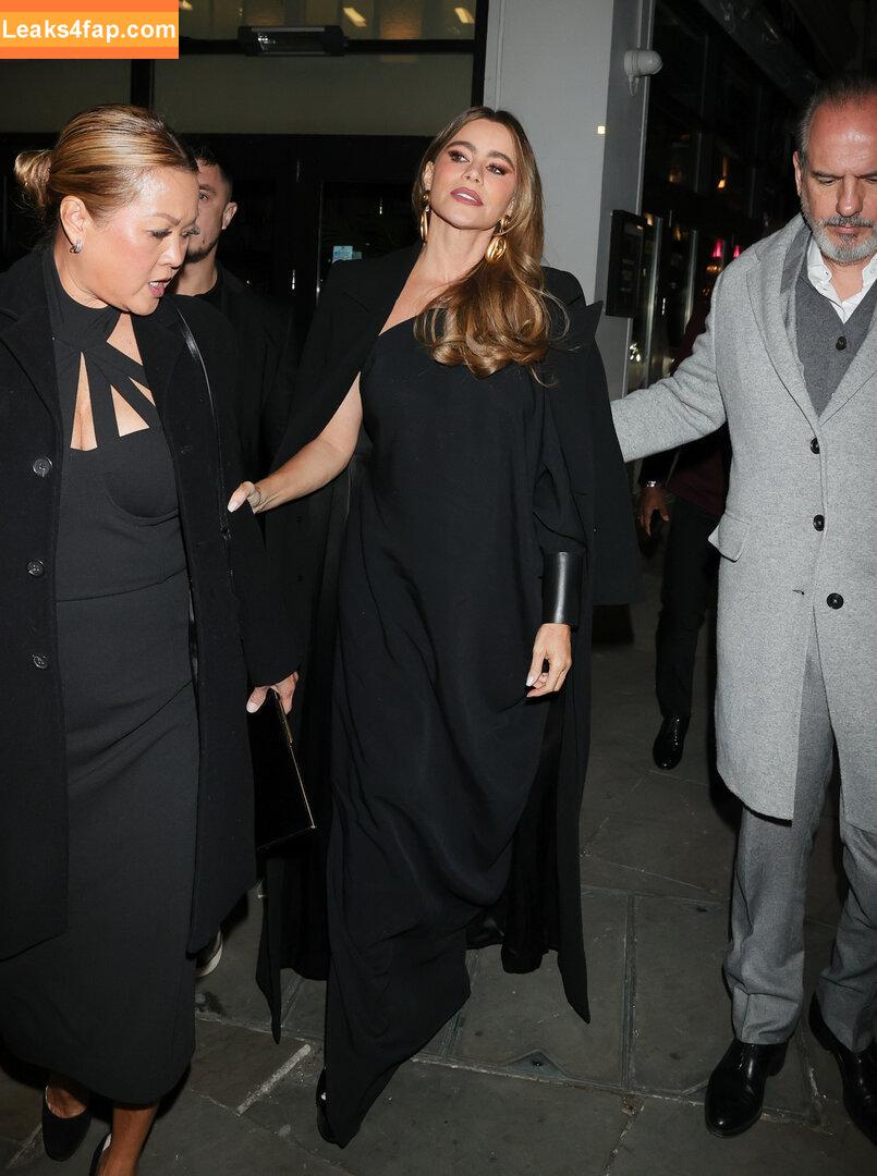 Sofia Vergara / sofiavergara слитое фото фото #0511