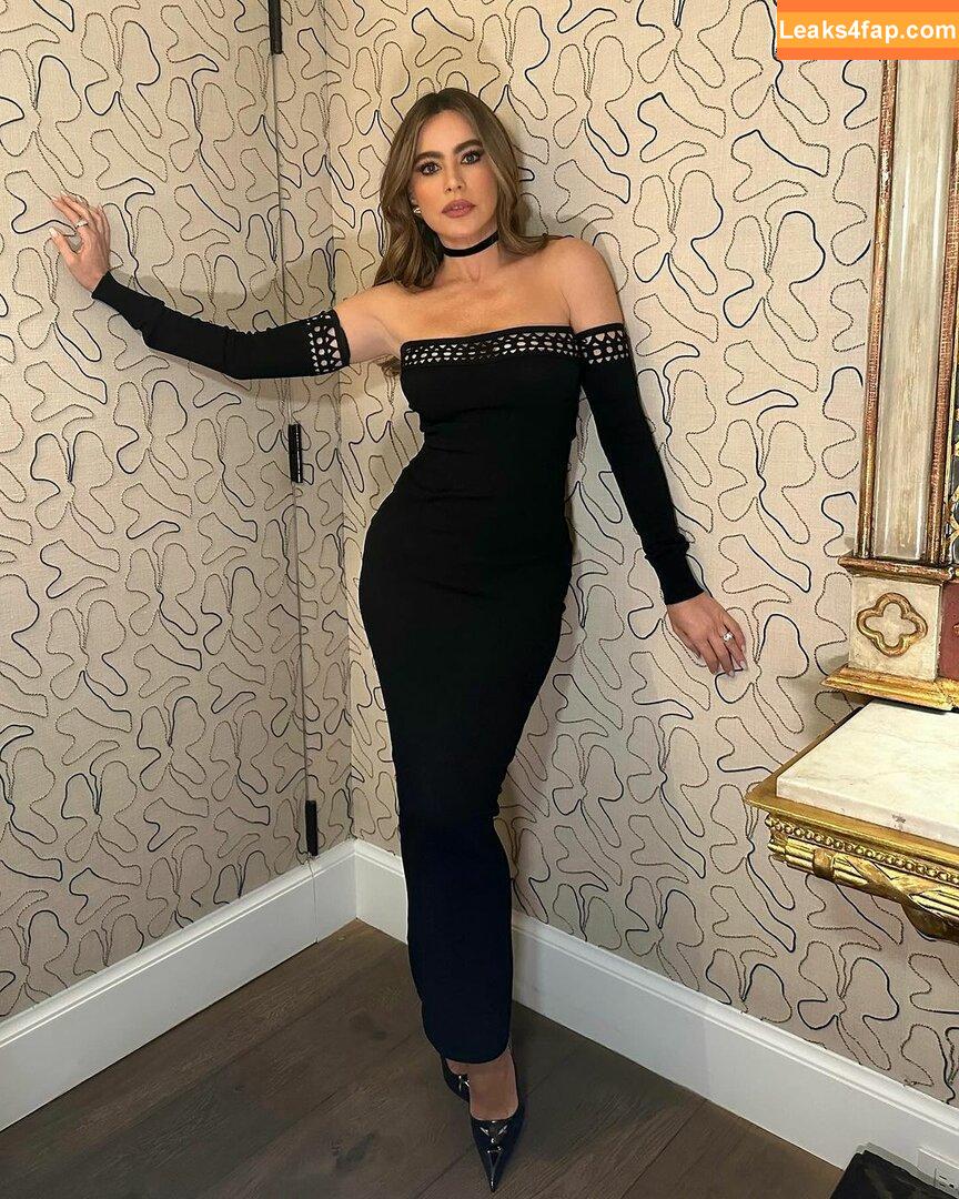 Sofia Vergara / sofiavergara слитое фото фото #0517