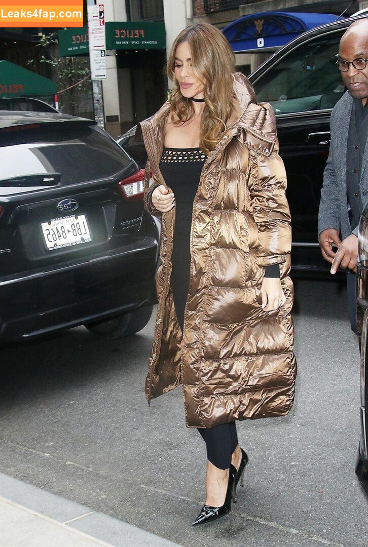 Sofia Vergara / sofiavergara слитое фото фото #0522