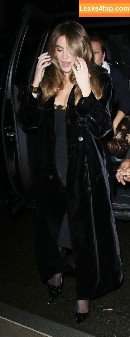 Sofia Vergara / sofiavergara слитое фото фото #0538