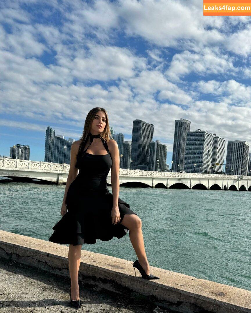 Sofia Vergara / sofiavergara слитое фото фото #0594