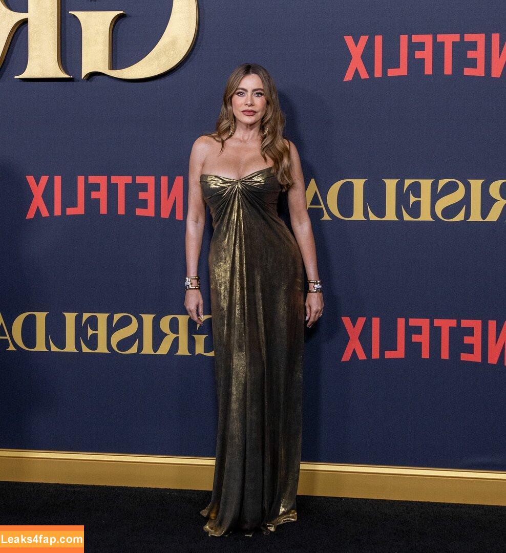 Sofia Vergara / sofiavergara слитое фото фото #0614