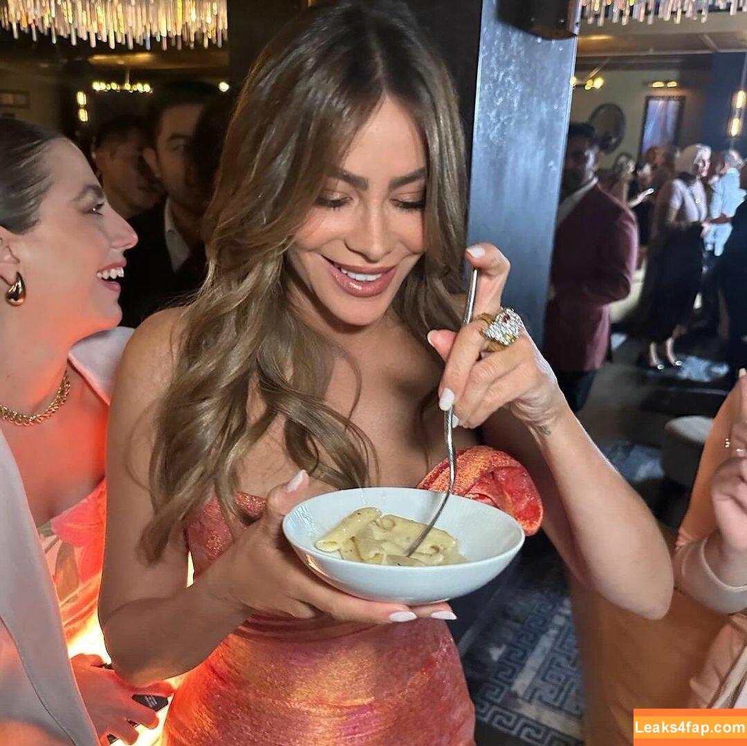Sofia Vergara / sofiavergara слитое фото фото #0710
