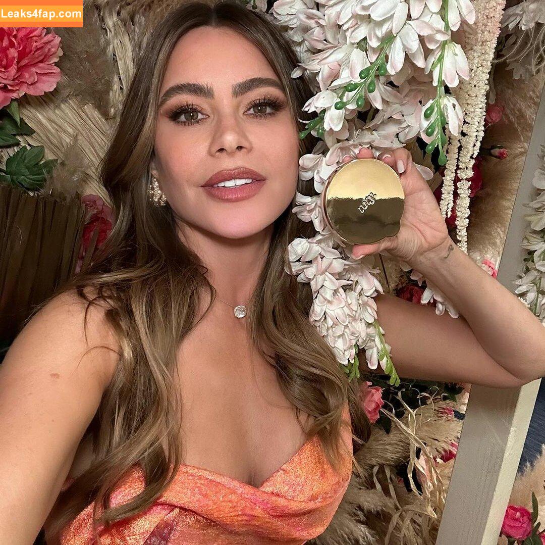Sofia Vergara / sofiavergara слитое фото фото #0711