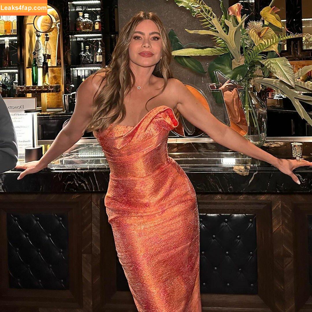 Sofia Vergara / sofiavergara слитое фото фото #0713