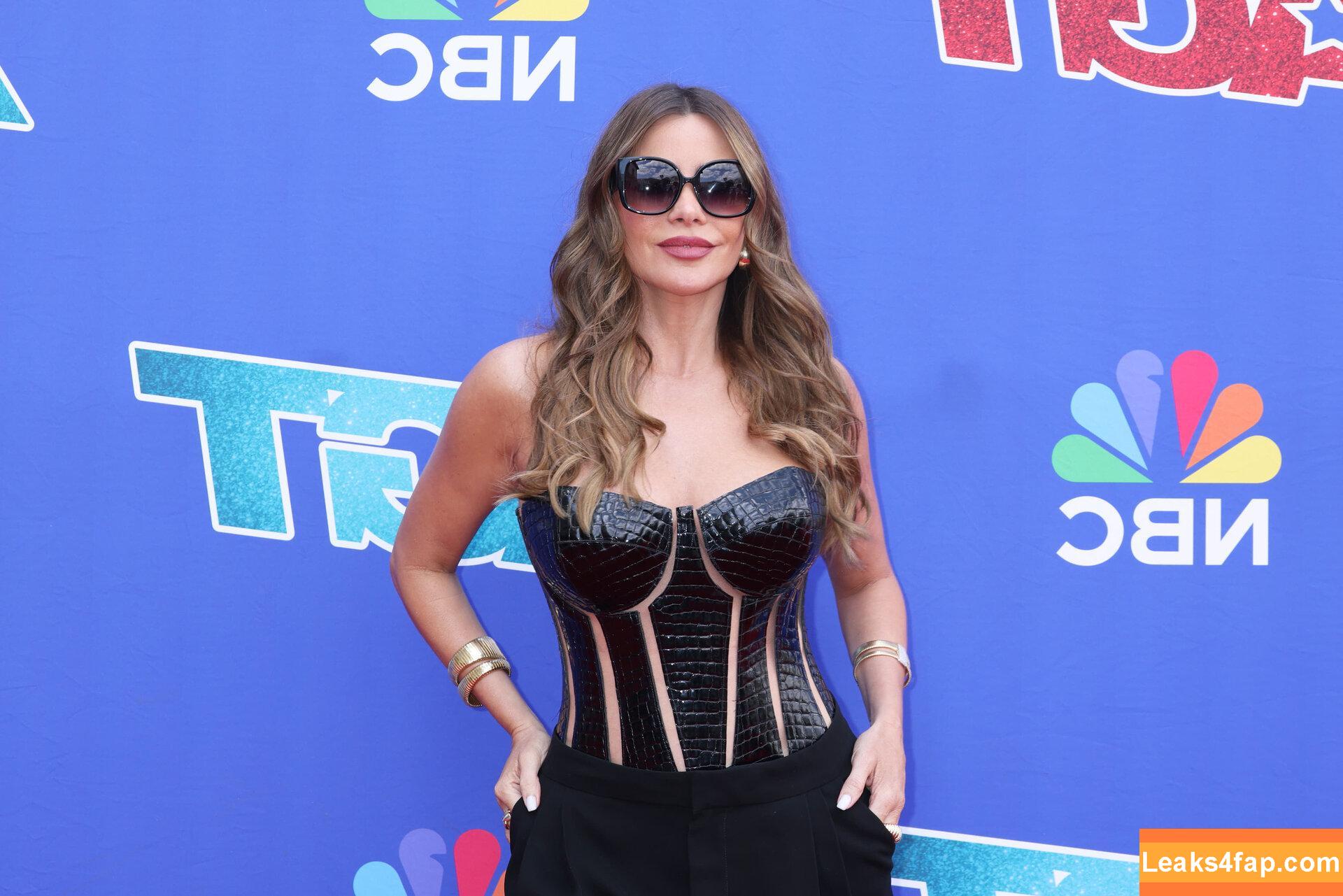 Sofia Vergara / sofiavergara слитое фото фото #0776