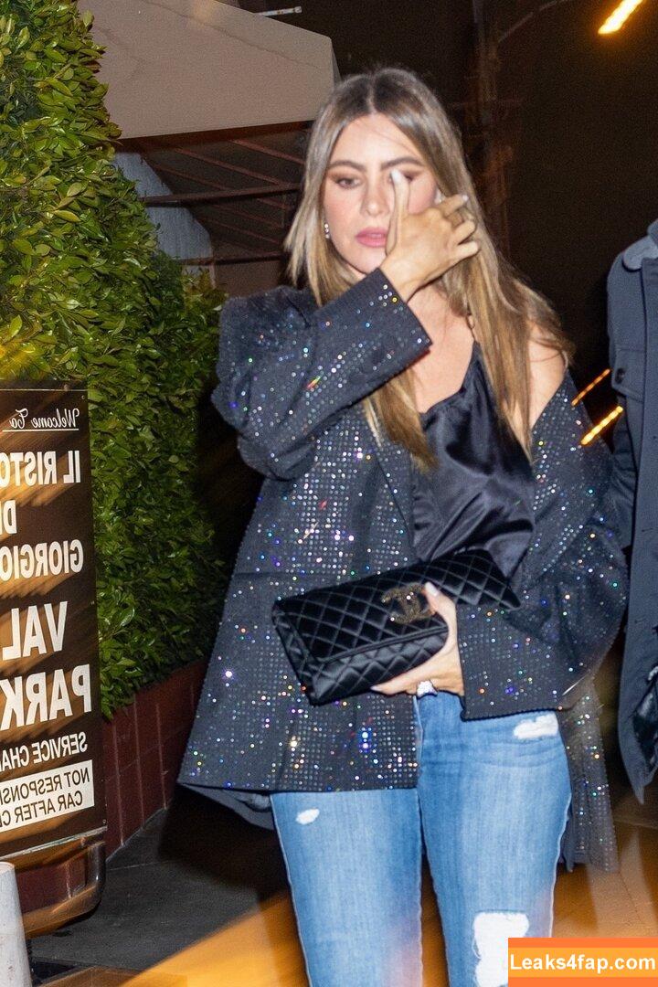 Sofia Vergara / sofiavergara слитое фото фото #0800