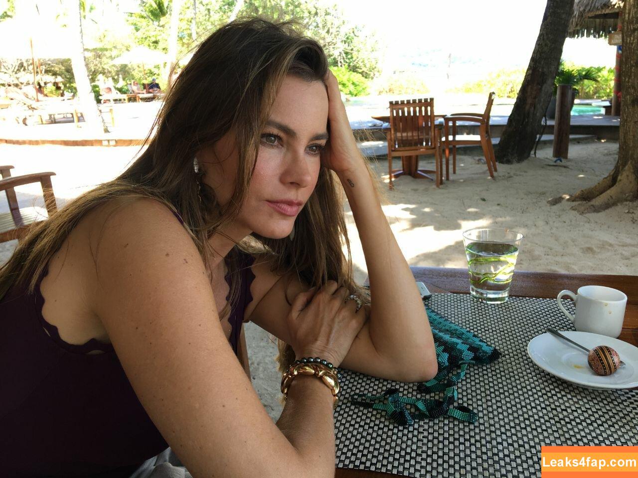 Sofia Vergara / sofiavergara слитое фото фото #0854